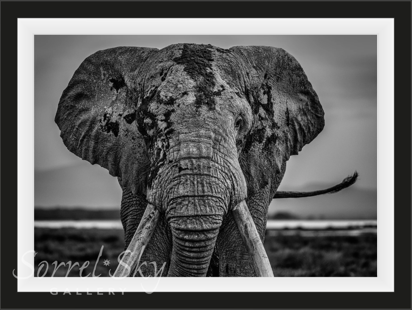 Mud-Photographic Print-David Yarrow-Sorrel Sky Gallery