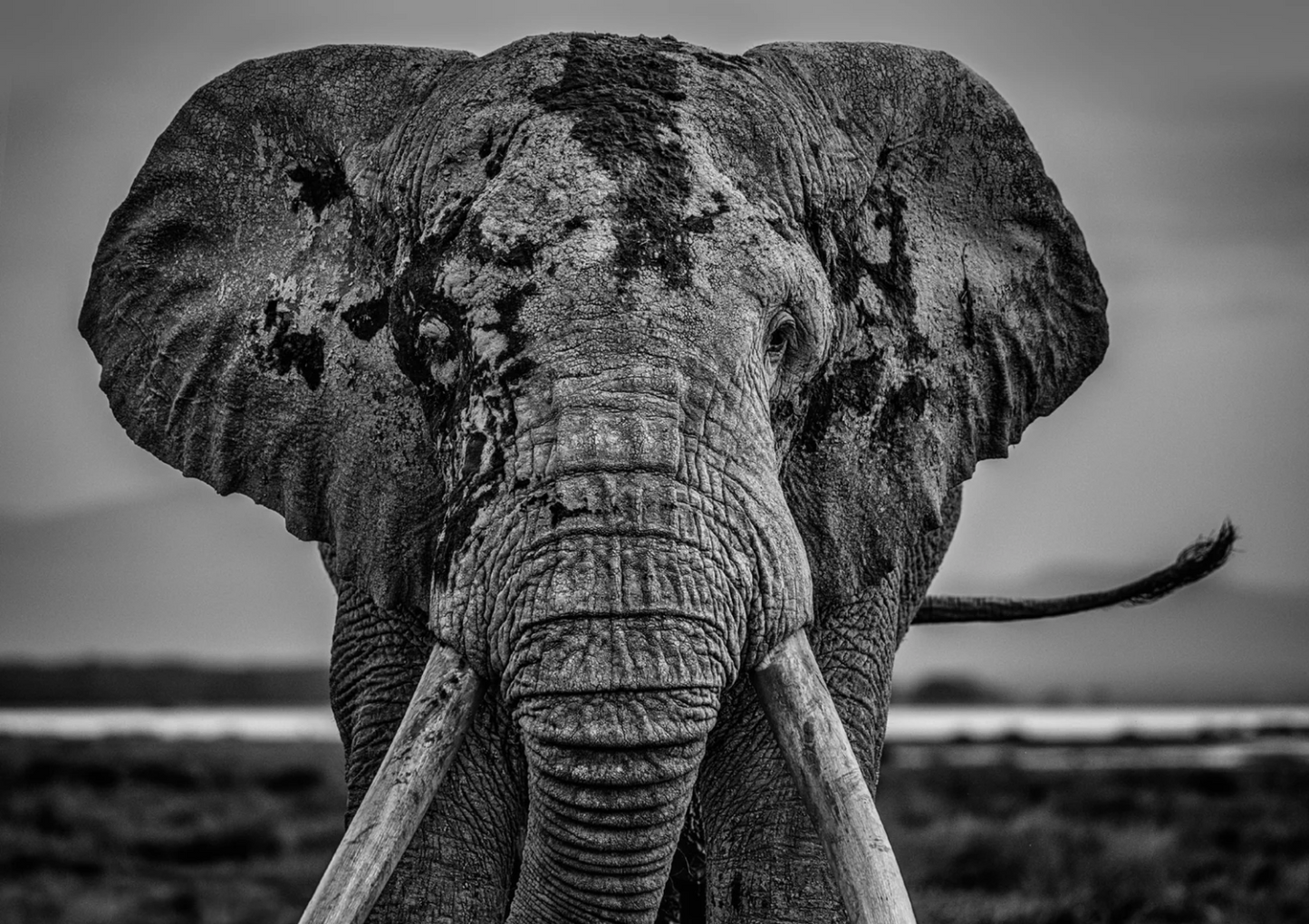 Mud-Photographic Print-David Yarrow-Sorrel Sky Gallery