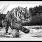 Mystic River-Photographic Print-David Yarrow-Sorrel Sky Gallery