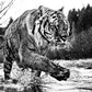 Mystic River-Photographic Print-David Yarrow-Sorrel Sky Gallery