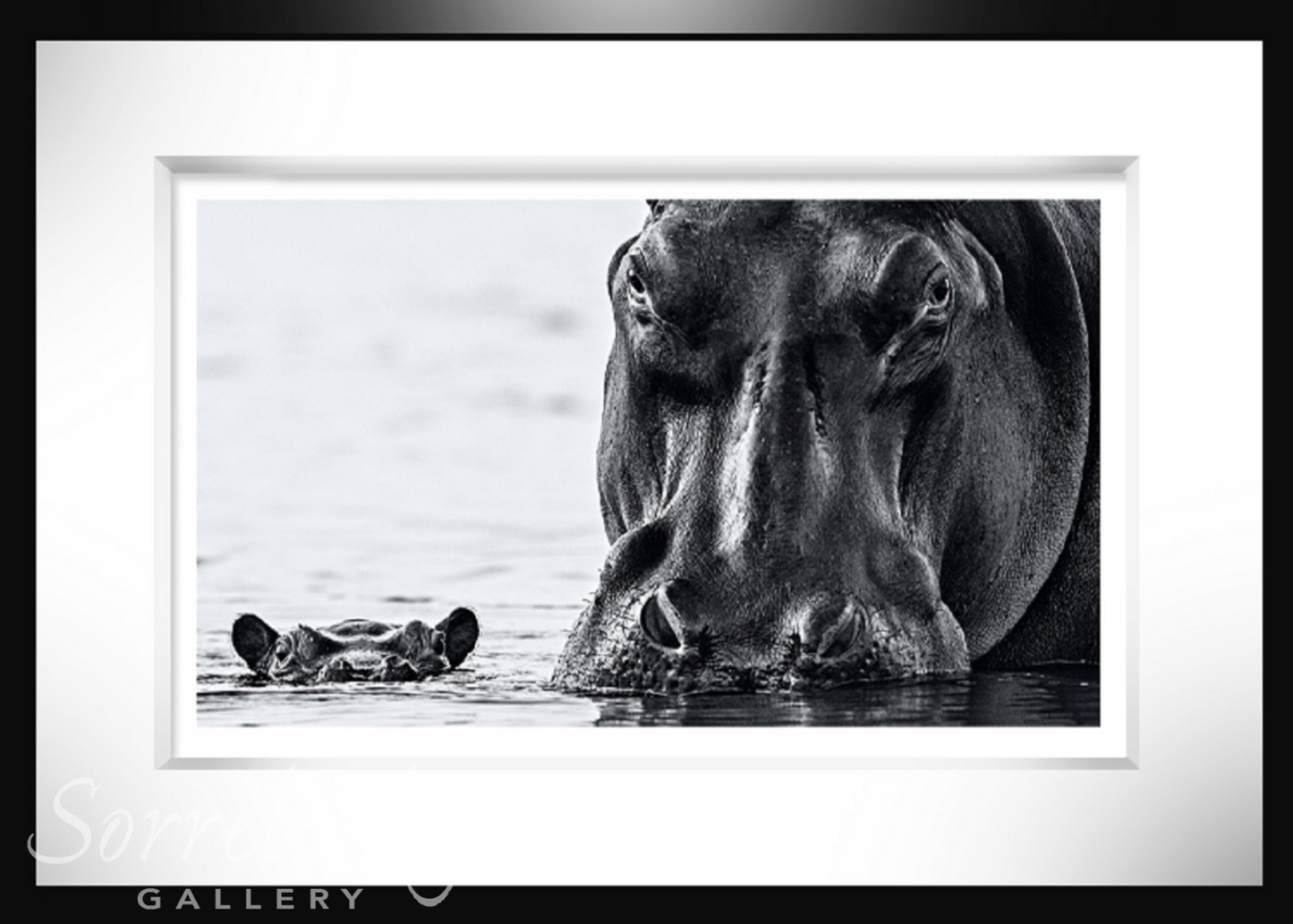 NO NEARER-Photographic Print-David Yarrow-Sorrel Sky Gallery