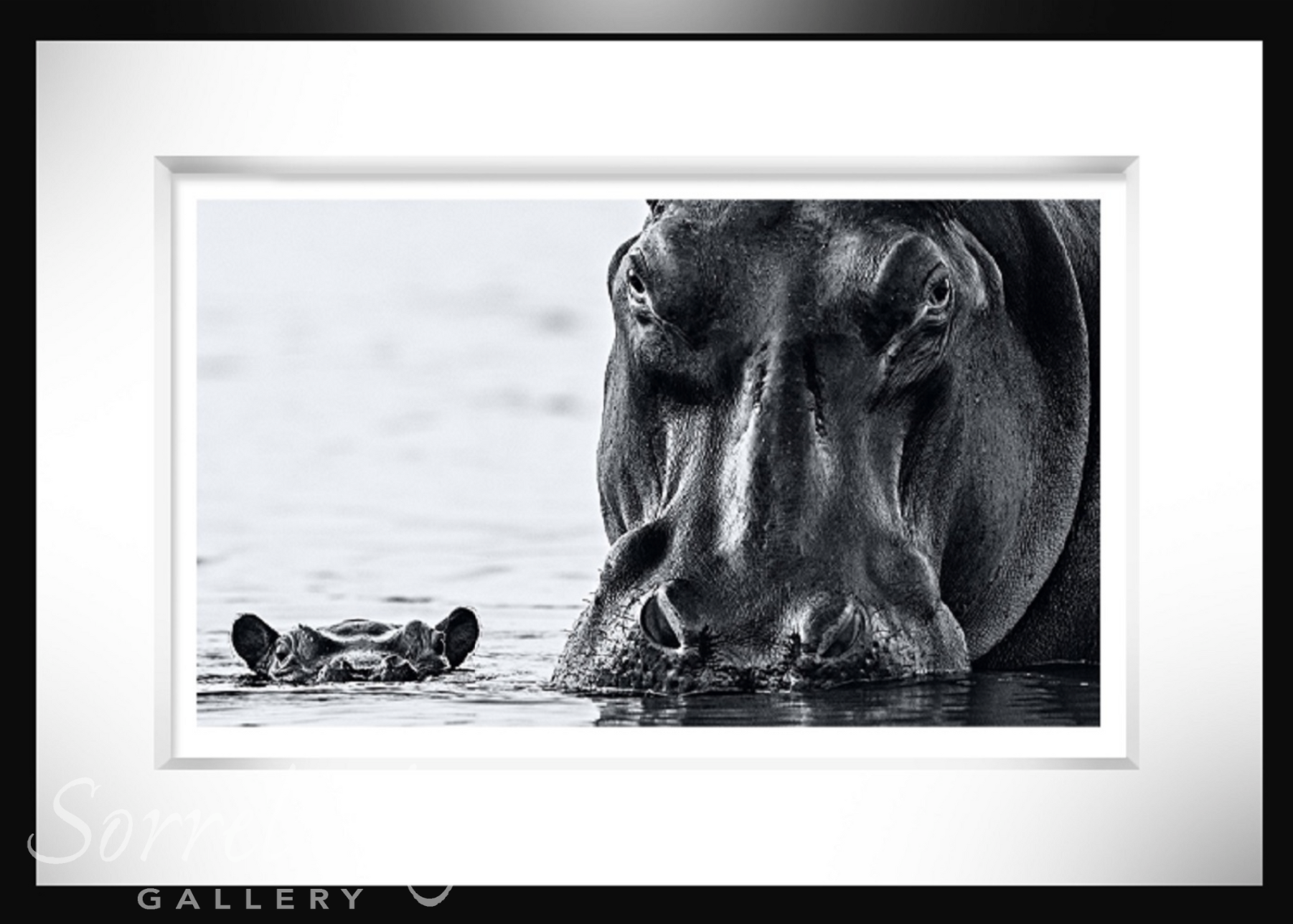 NO NEARER-Photographic Print-David Yarrow-Sorrel Sky Gallery