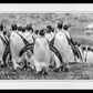 Napoleon-Photographic Print-David Yarrow-Sorrel Sky Gallery