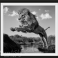 O CAPTAIN! MY CAPTAIN!-Photographic Print-David Yarrow-Sorrel Sky Gallery