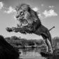 O CAPTAIN! MY CAPTAIN!-Photographic Print-David Yarrow-Sorrel Sky Gallery