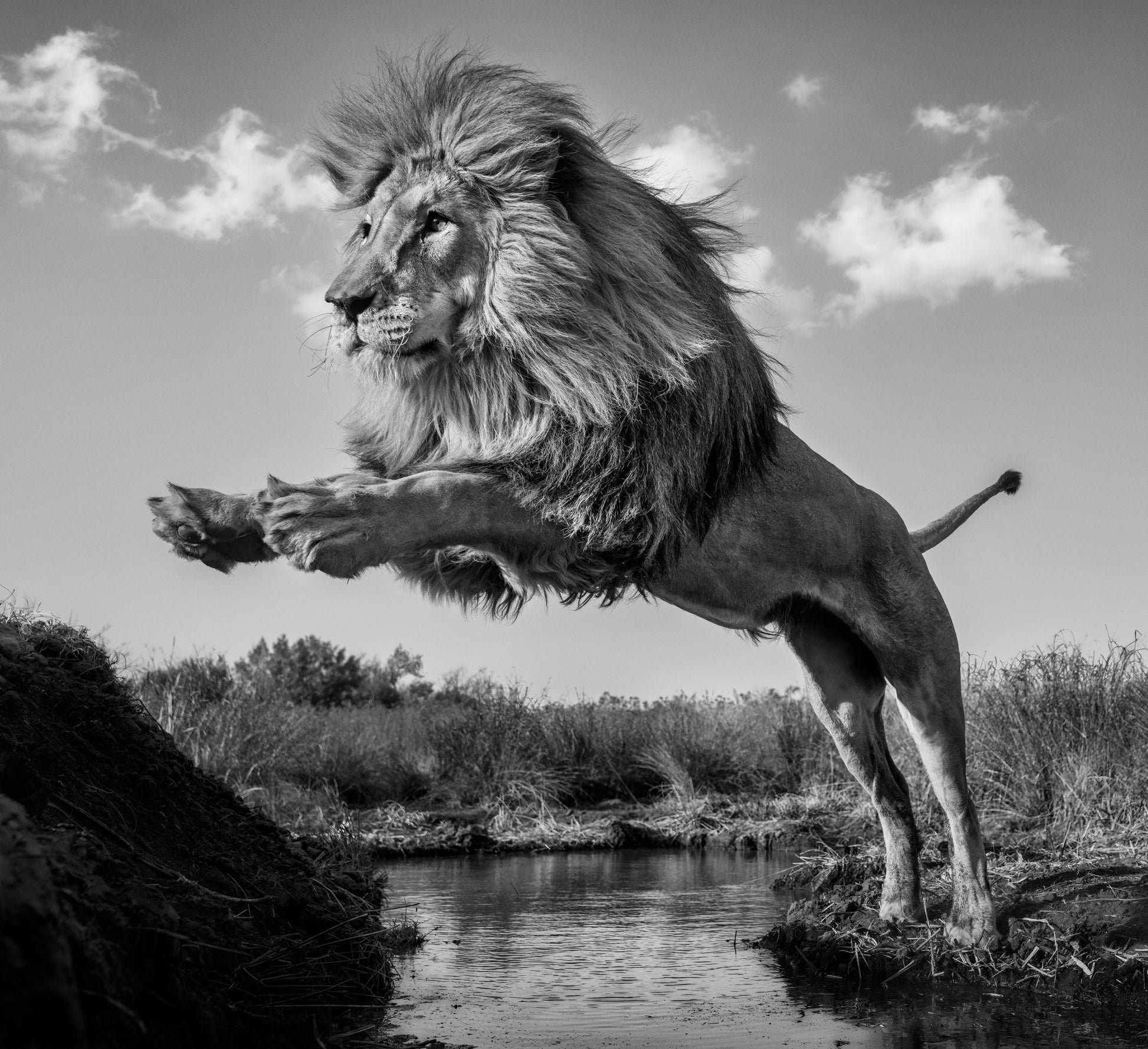 O CAPTAIN! MY CAPTAIN!-Photographic Print-David Yarrow-Sorrel Sky Gallery