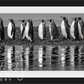 OCEAN’S ELEVEN-Photographic Print-David Yarrow-Sorrel Sky Gallery