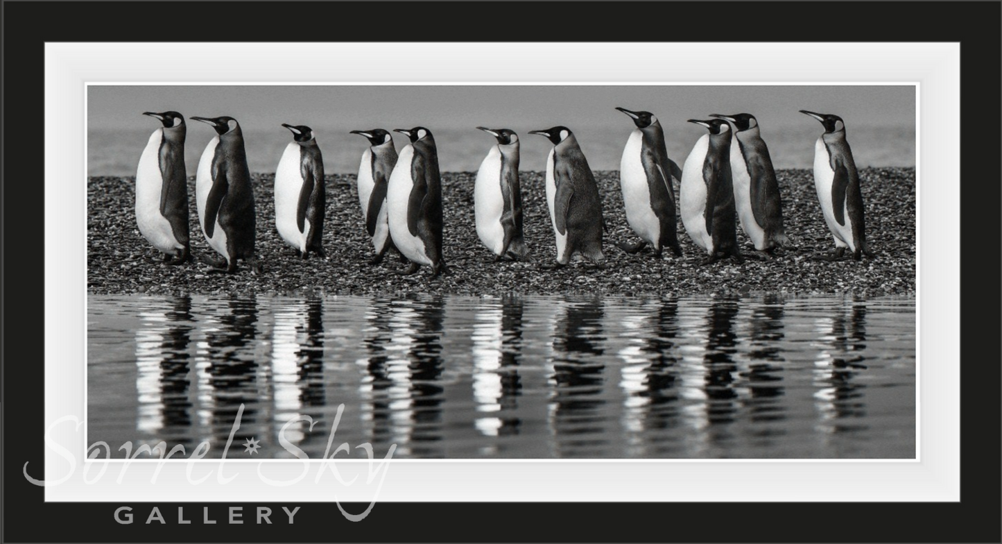 OCEAN’S ELEVEN-Photographic Print-David Yarrow-Sorrel Sky Gallery