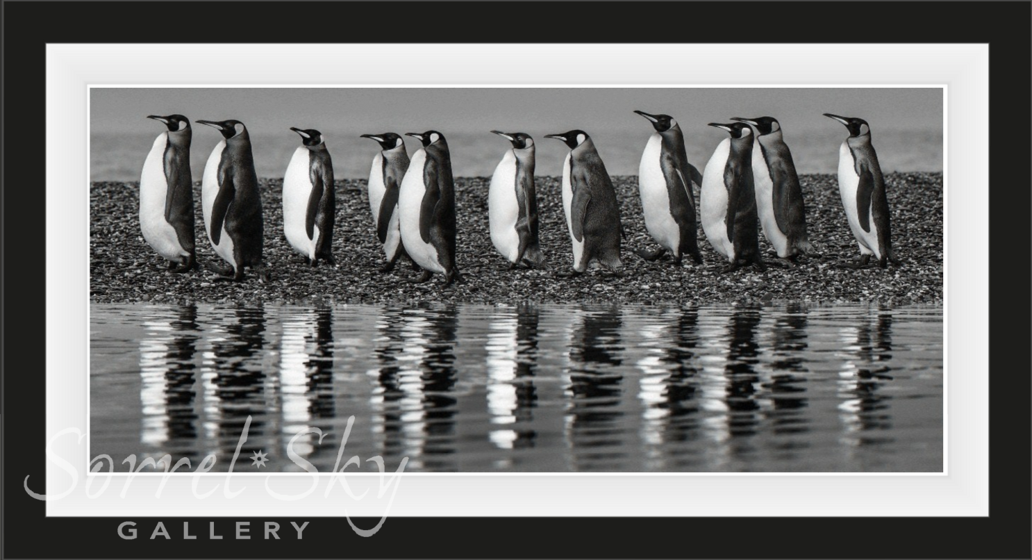 OCEAN’S ELEVEN-Photographic Print-David Yarrow-Sorrel Sky Gallery