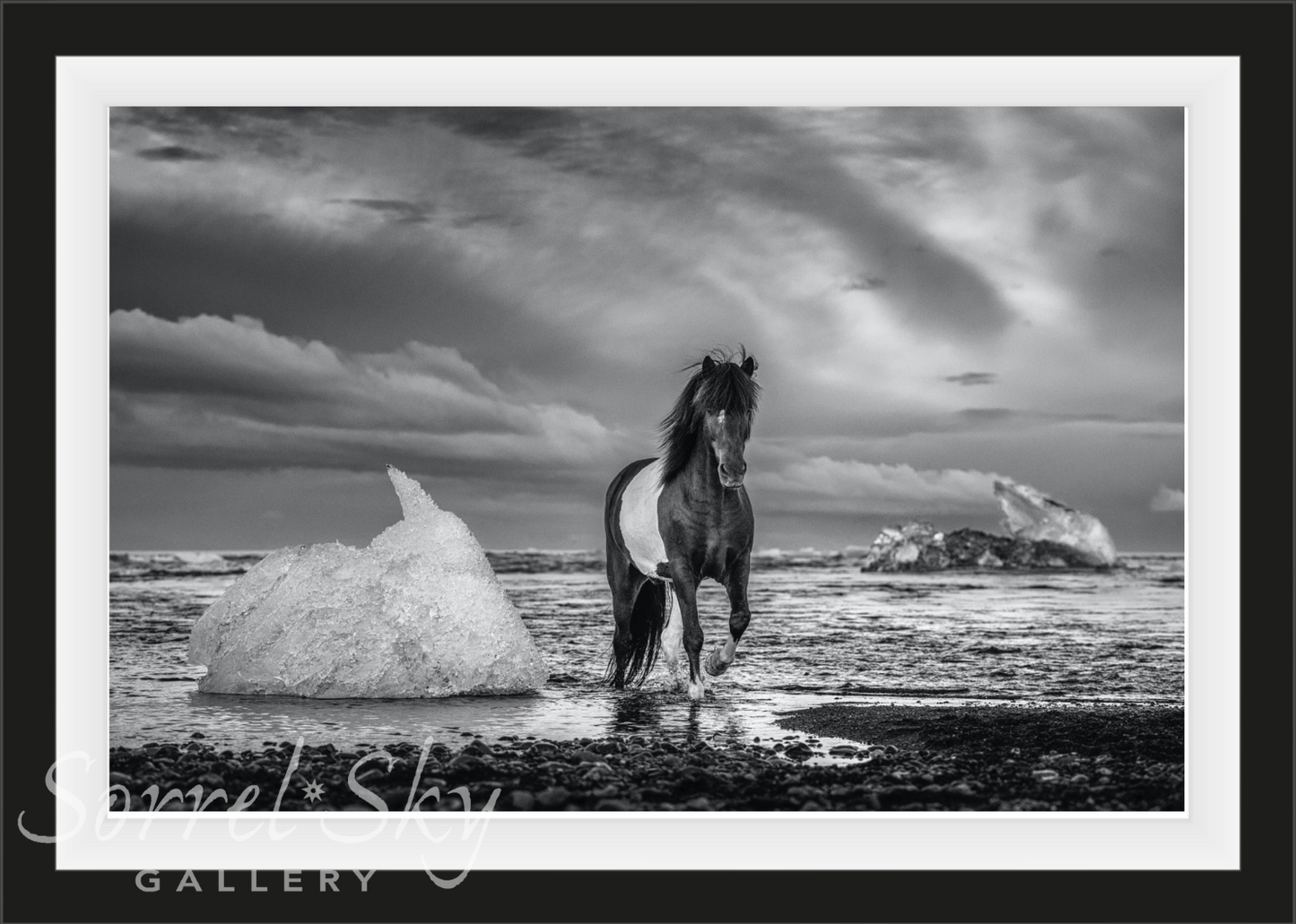 ON THE ROCKS-Photographic Print-David Yarrow-Sorrel Sky Gallery