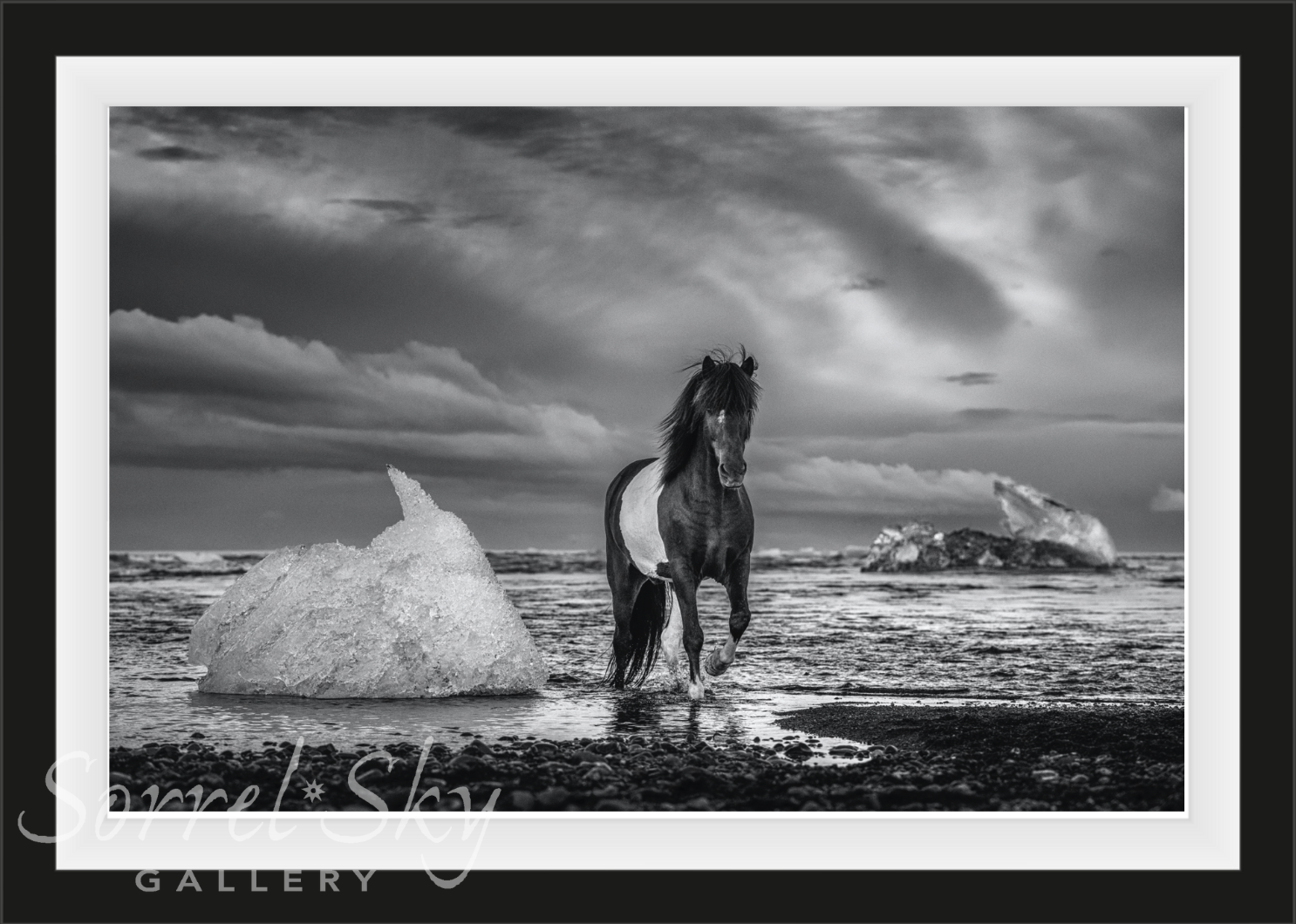 ON THE ROCKS-Photographic Print-David Yarrow-Sorrel Sky Gallery