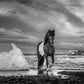 ON THE ROCKS