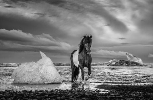 ON THE ROCKS