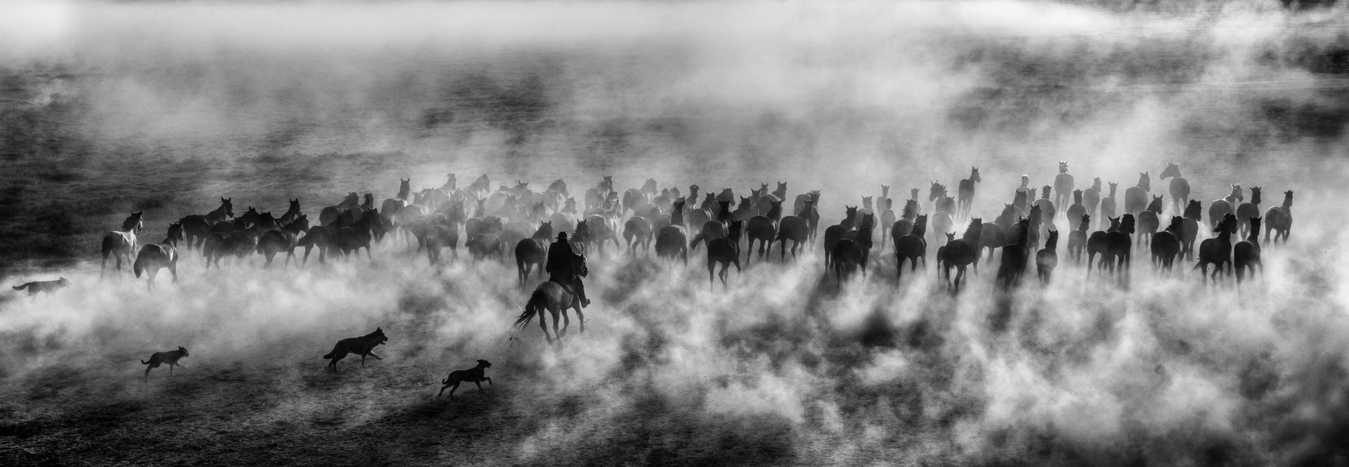 ONE HUNDRED HORSES (B&W)-Photographic Print-David Yarrow-Sorrel Sky Gallery