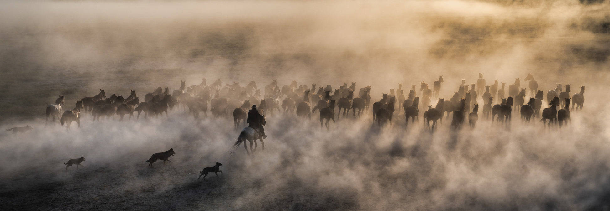 ONE HUNDRED HORSES (COLOUR)-Photographic Print-David Yarrow-Sorrel Sky Gallery