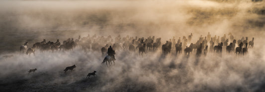 ONE HUNDRED HORSES (COLOUR)-Photographic Print-David Yarrow-Sorrel Sky Gallery