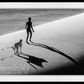 On The Catwalk-Photographic Print-David Yarrow-Sorrel Sky Gallery