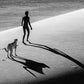 On The Catwalk-Photographic Print-David Yarrow-Sorrel Sky Gallery