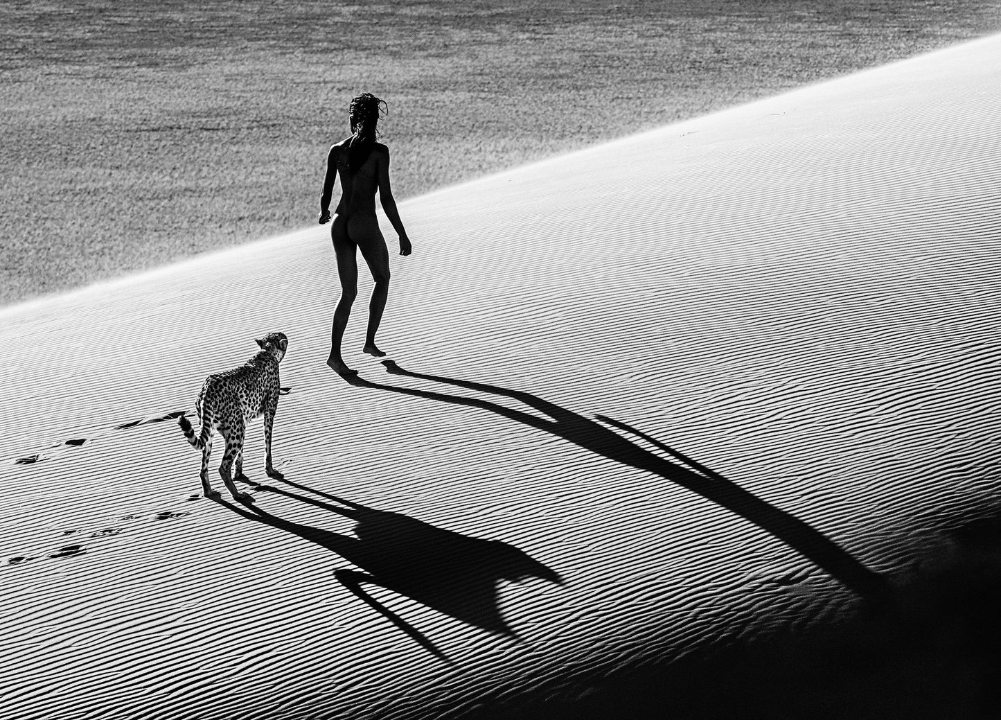 On The Catwalk-Photographic Print-David Yarrow-Sorrel Sky Gallery