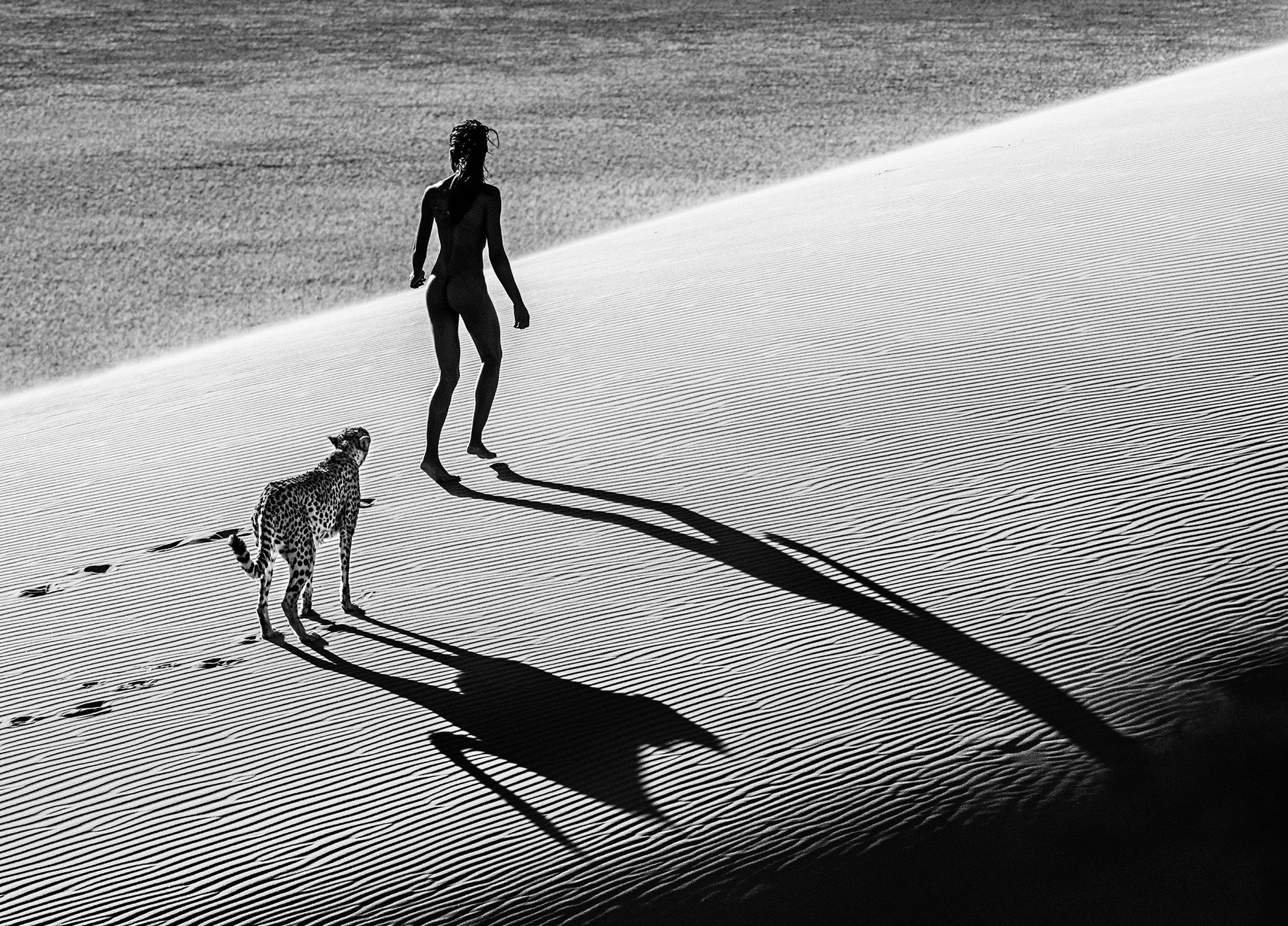 On The Catwalk-Photographic Print-David Yarrow-Sorrel Sky Gallery