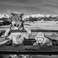 Once Upon a Time In The West II-Photographic Print-David Yarrow-Sorrel Sky Gallery