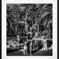 PALM BEACH LIFE-Photographic Print-David Yarrow-Sorrel Sky Gallery
