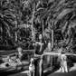 PALM BEACH LIFE-Photographic Print-David Yarrow-Sorrel Sky Gallery