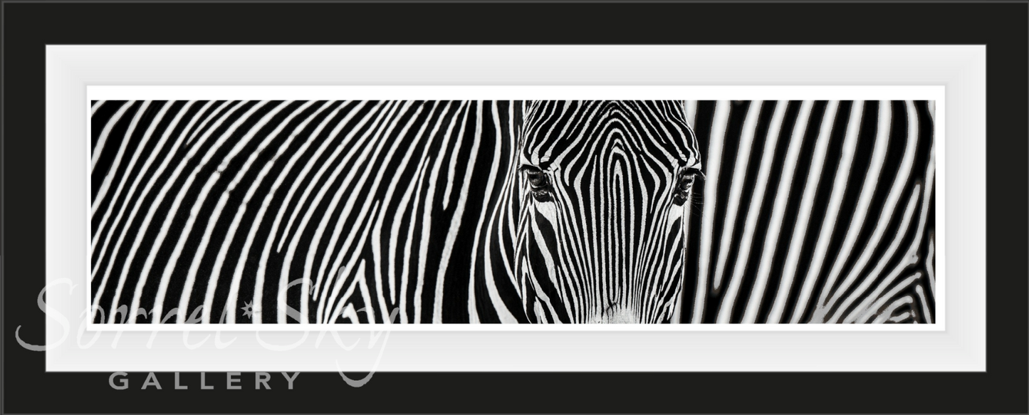 PARALLEL LINES-Photographic Print-David Yarrow-Sorrel Sky Gallery