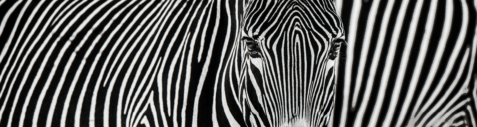 PARALLEL LINES-Photographic Print-David Yarrow-Sorrel Sky Gallery