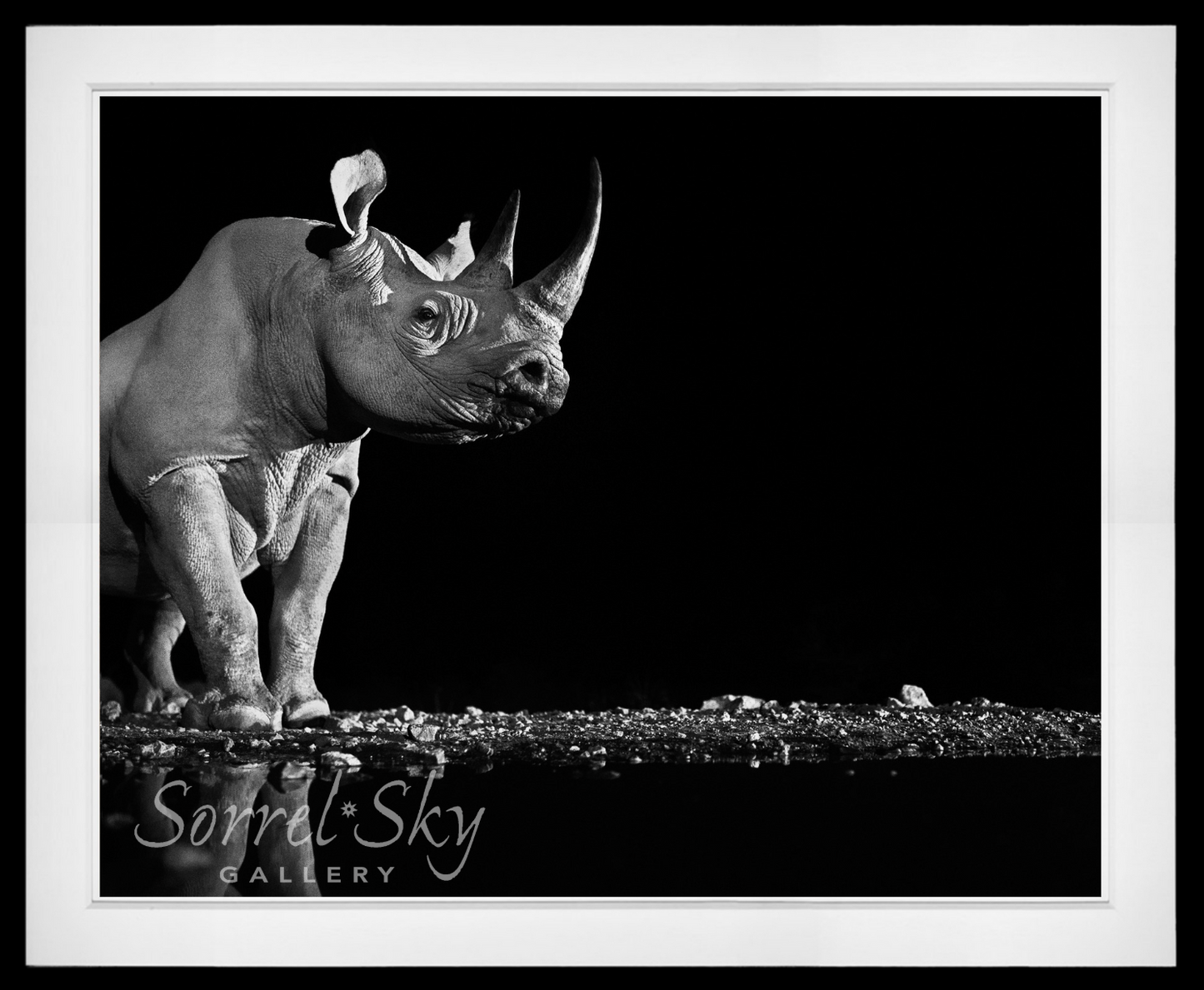 Precious-Photographic Print-David Yarrow-Sorrel Sky Gallery