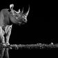 Precious-Photographic Print-David Yarrow-Sorrel Sky Gallery