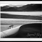 Prowl-Photographic Print-David Yarrow-Sorrel Sky Gallery