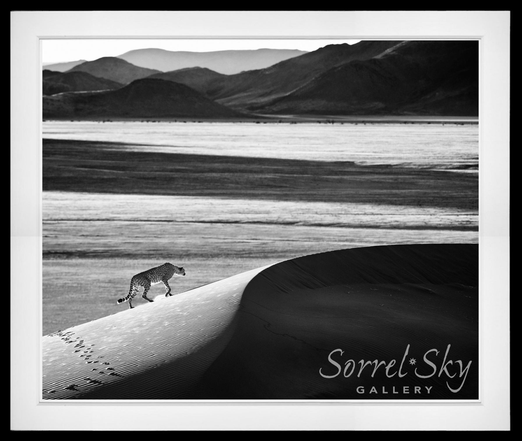 Prowl-Photographic Print-David Yarrow-Sorrel Sky Gallery