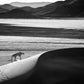 Prowl-Photographic Print-David Yarrow-Sorrel Sky Gallery