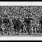 RALPHIE THE BUFFALO-Photographic Print-David Yarrow-Sorrel Sky Gallery