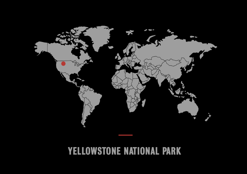 ROAD RAGE-Photographic Print-David Yarrow-Sorrel Sky Gallery