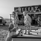 Rack 'Em Up - B/W-Photographic Print-David Yarrow-Sorrel Sky Gallery