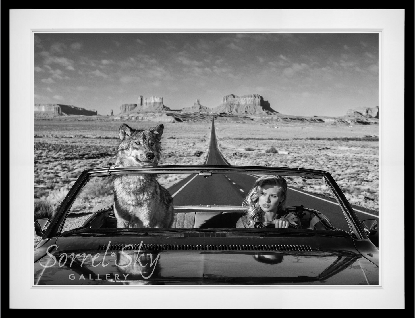 Road Trip
