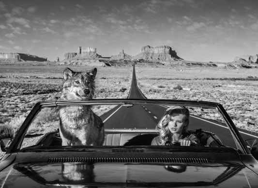 Road Trip-Photographic Print-David Yarrow-Sorrel Sky Gallery