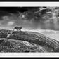 Rock Star-Photographic Print-David Yarrow-Sorrel Sky Gallery