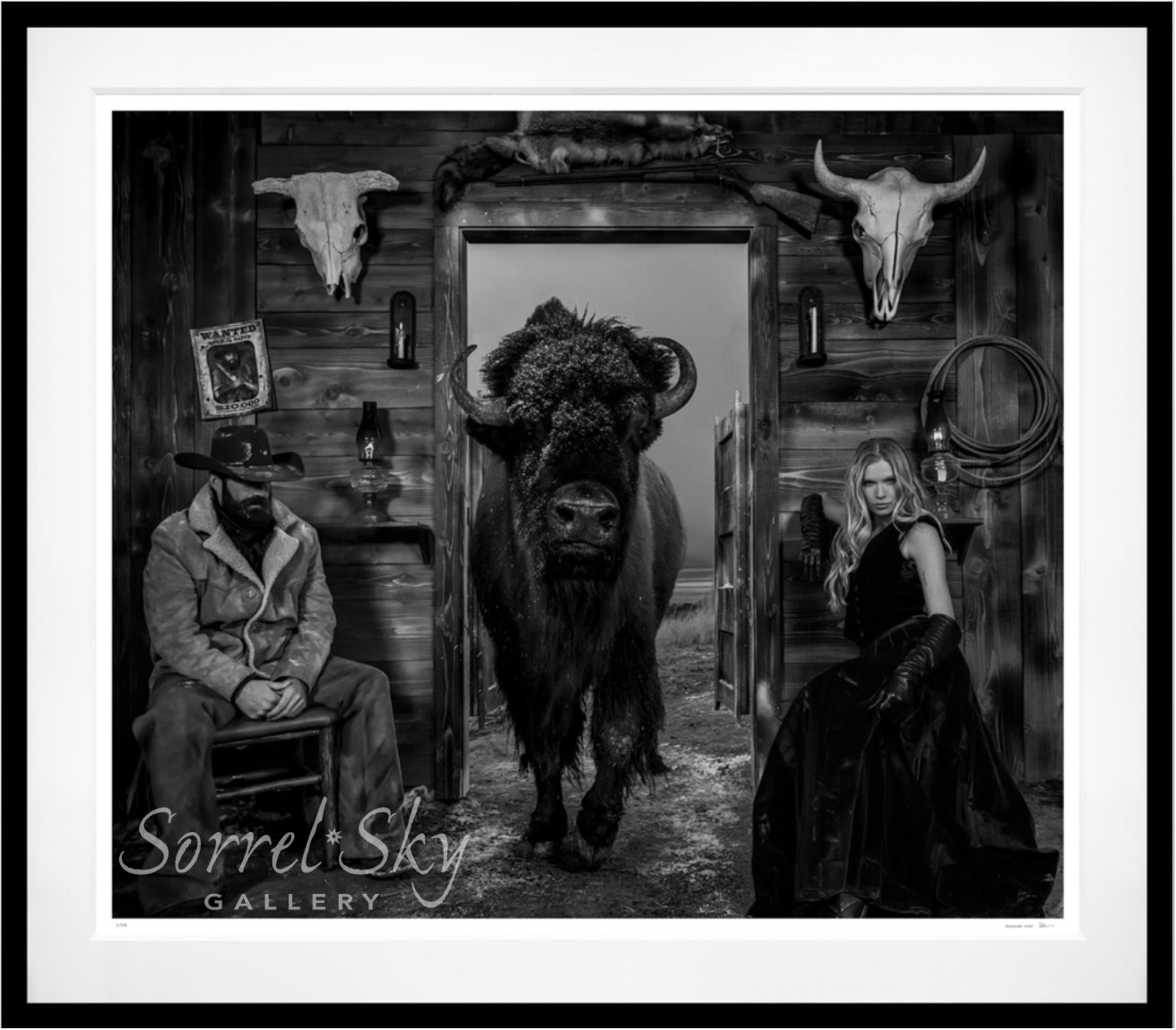 Saturday Night Live-Photographic Print-David Yarrow-Sorrel Sky Gallery