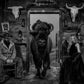 Saturday Night Live-Photographic Print-David Yarrow-Sorrel Sky Gallery
