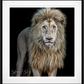 Something's Gotta Give - Colour-Photographic Print-David Yarrow-Sorrel Sky Gallery