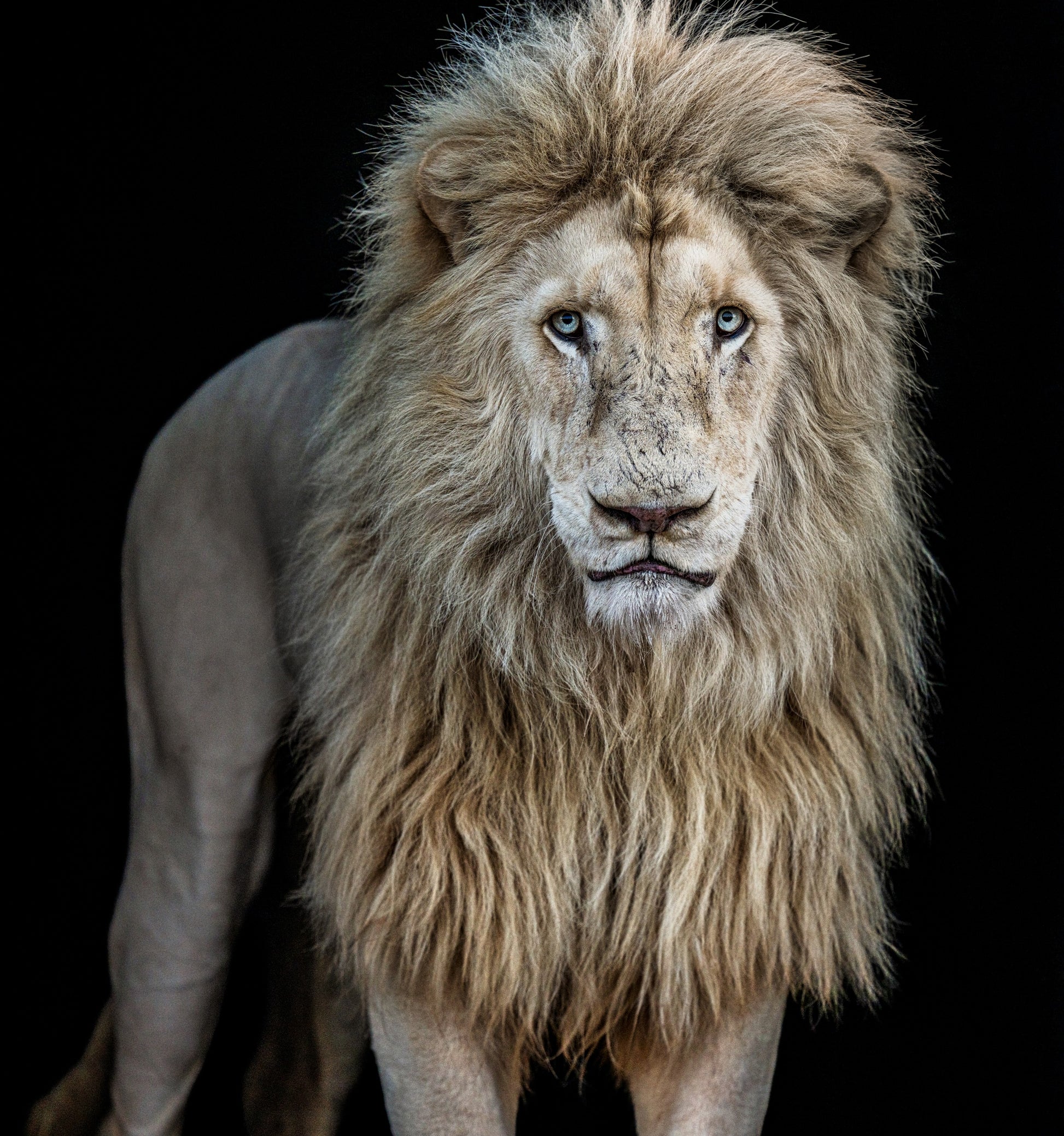 Something's Gotta Give - Colour-Photographic Print-David Yarrow-Sorrel Sky Gallery