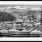 Spring in Aspen-Photographic Print-David Yarrow-Sorrel Sky Gallery