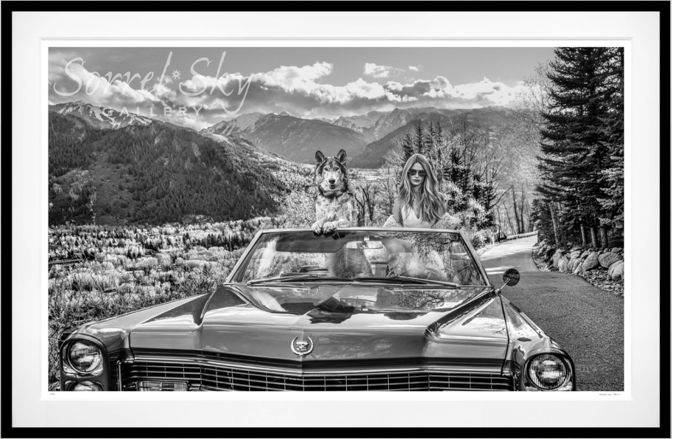 Spring in Aspen-Photographic Print-David Yarrow-Sorrel Sky Gallery