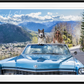 Spring in Aspen (Colour)-Photographic Print-David Yarrow-Sorrel Sky Gallery