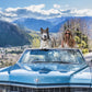 Spring in Aspen (Colour)-Photographic Print-David Yarrow-Sorrel Sky Gallery