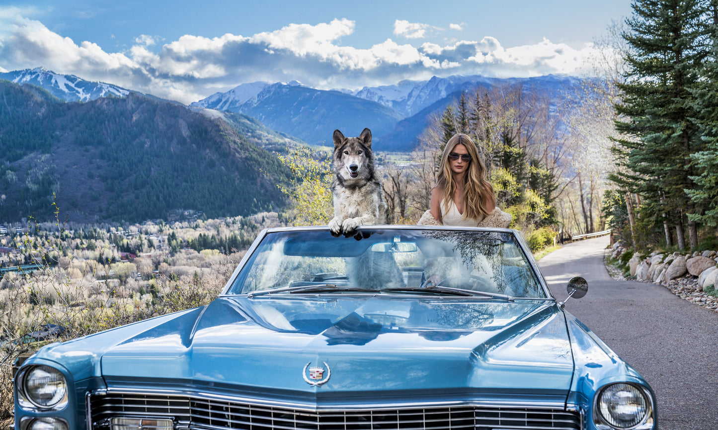 Spring in Aspen (Colour)-Photographic Print-David Yarrow-Sorrel Sky Gallery