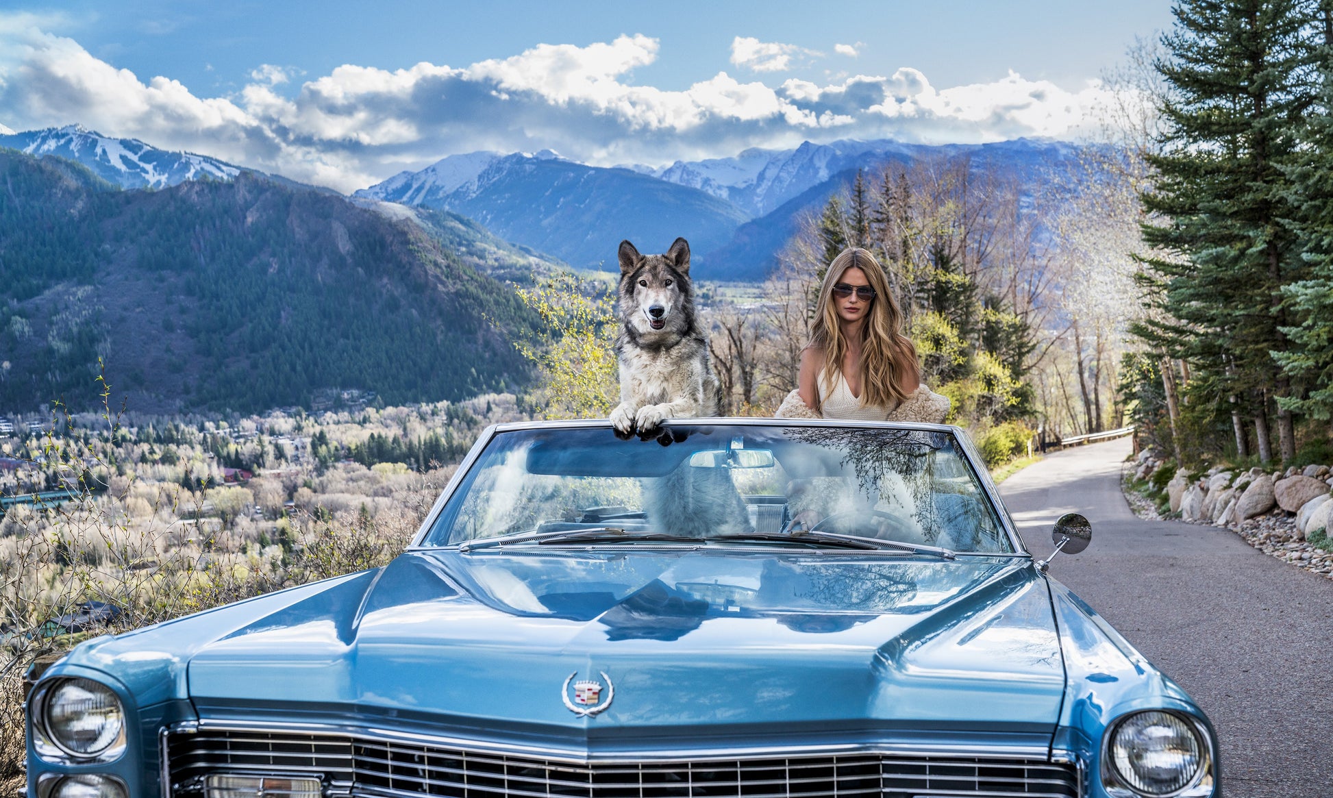Spring in Aspen (Colour)-Photographic Print-David Yarrow-Sorrel Sky Gallery